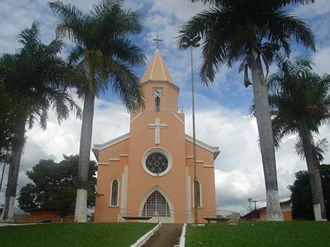 imagem da flor Capim Branco